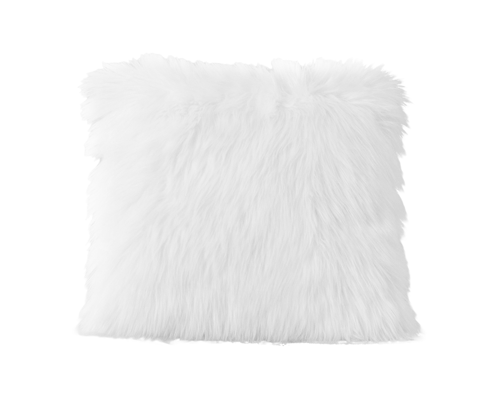 Ensemble coussin et bourre 20 po x 20 po - Blanc
