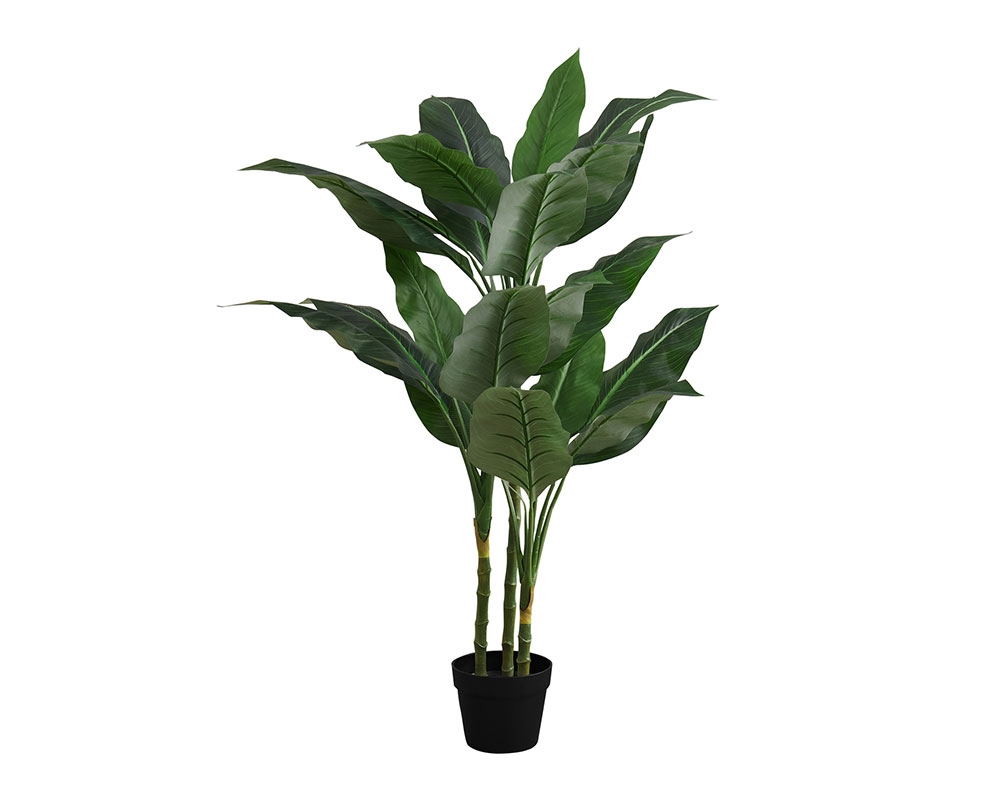 Plante en pot 42 po - Evergreen