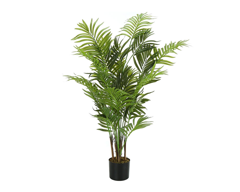 Plante en pot 47 po - Palmier Areca