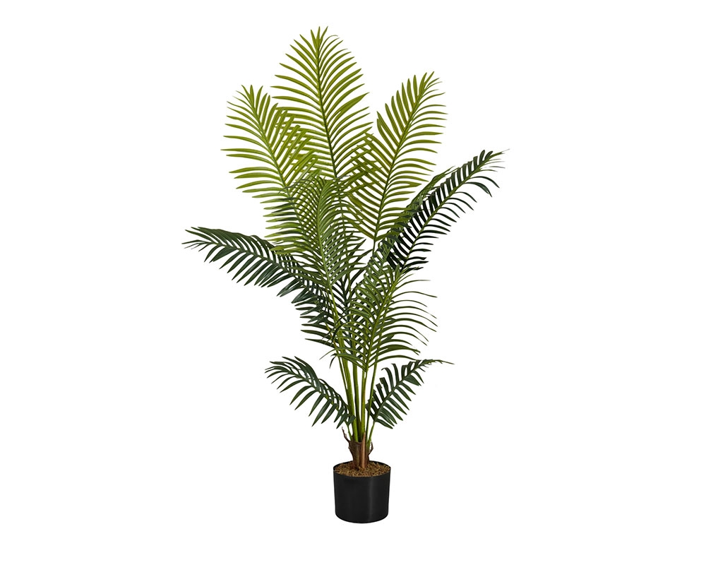 Plante en pot 57 po - Palmier